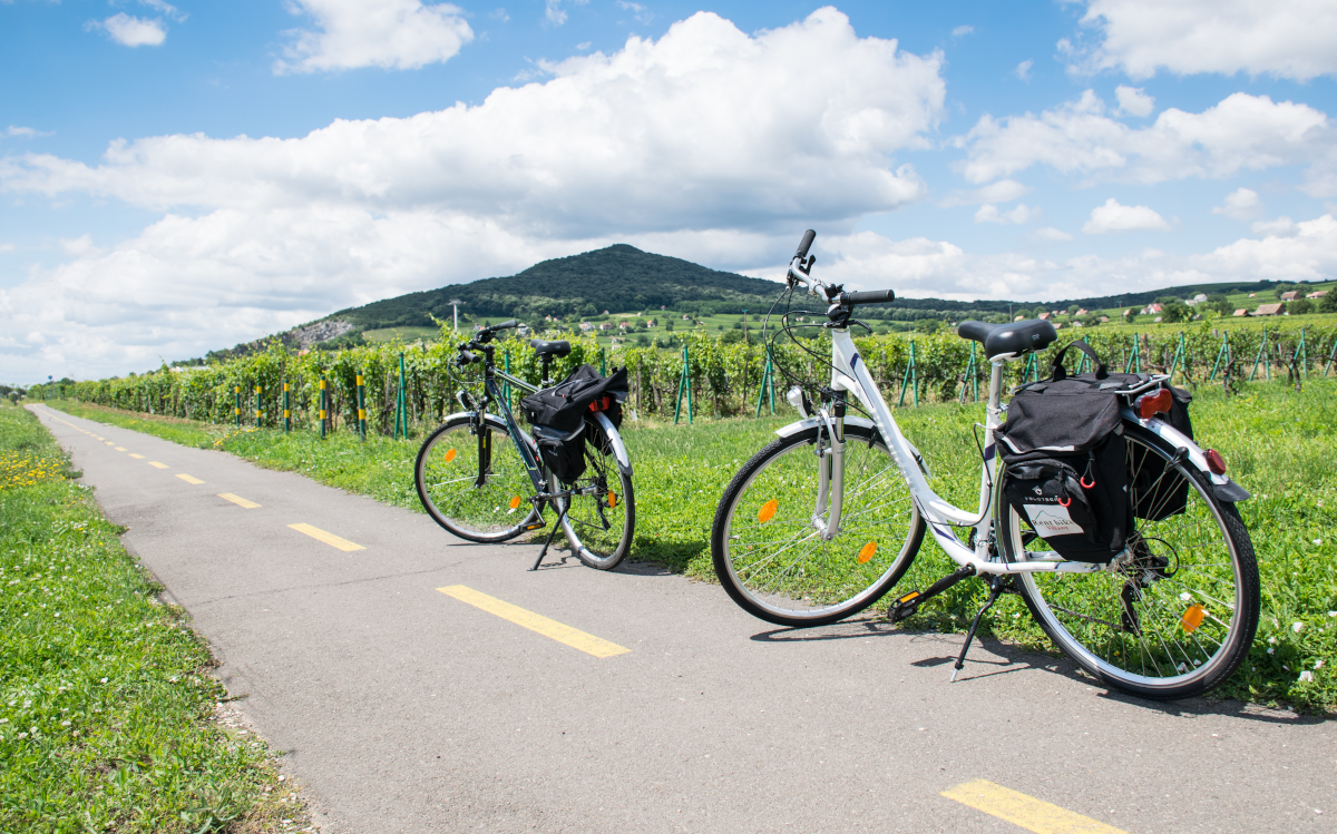 Kerékpár útvonalak a Villányi borvidéken - Fotó: dr. Tarnai Márta