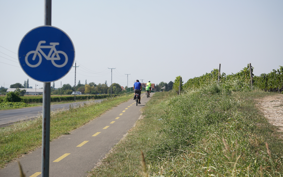 Kerékpár útvonalak a Villányi borvidéken - a Szársomlyó mellett