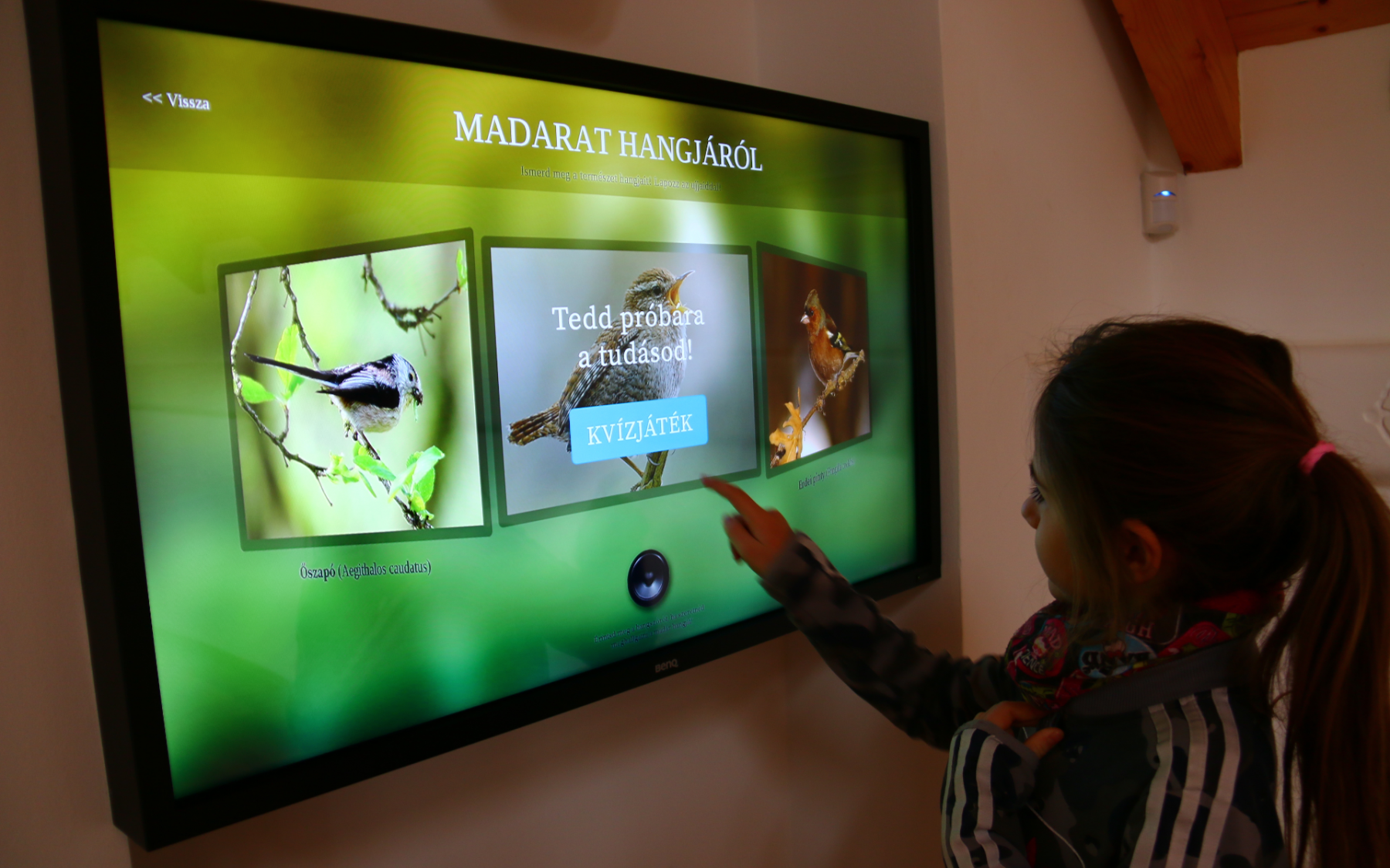 Ős-Dráva látogatóközpont - interaktív bemutatótér