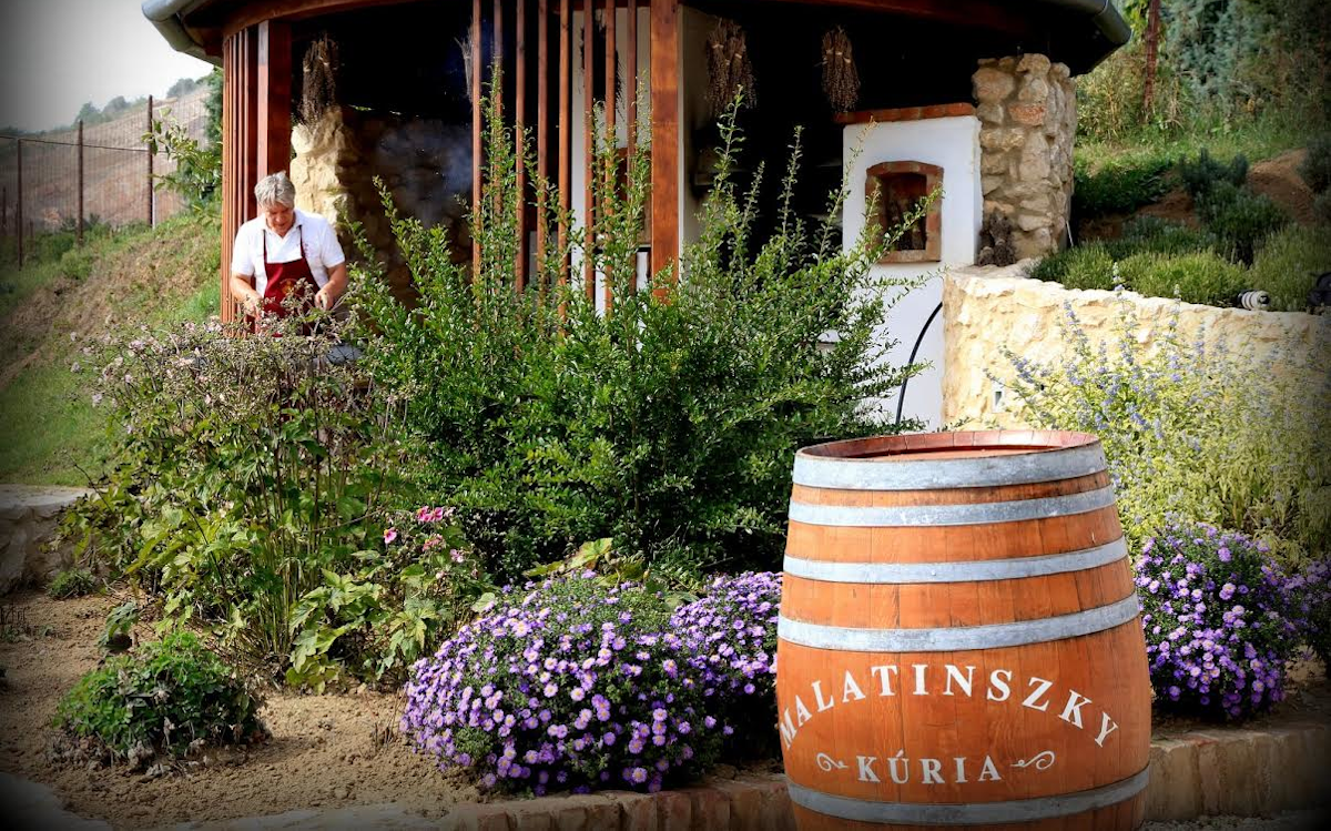 Malatinszky Kúria Organic Wine Estate