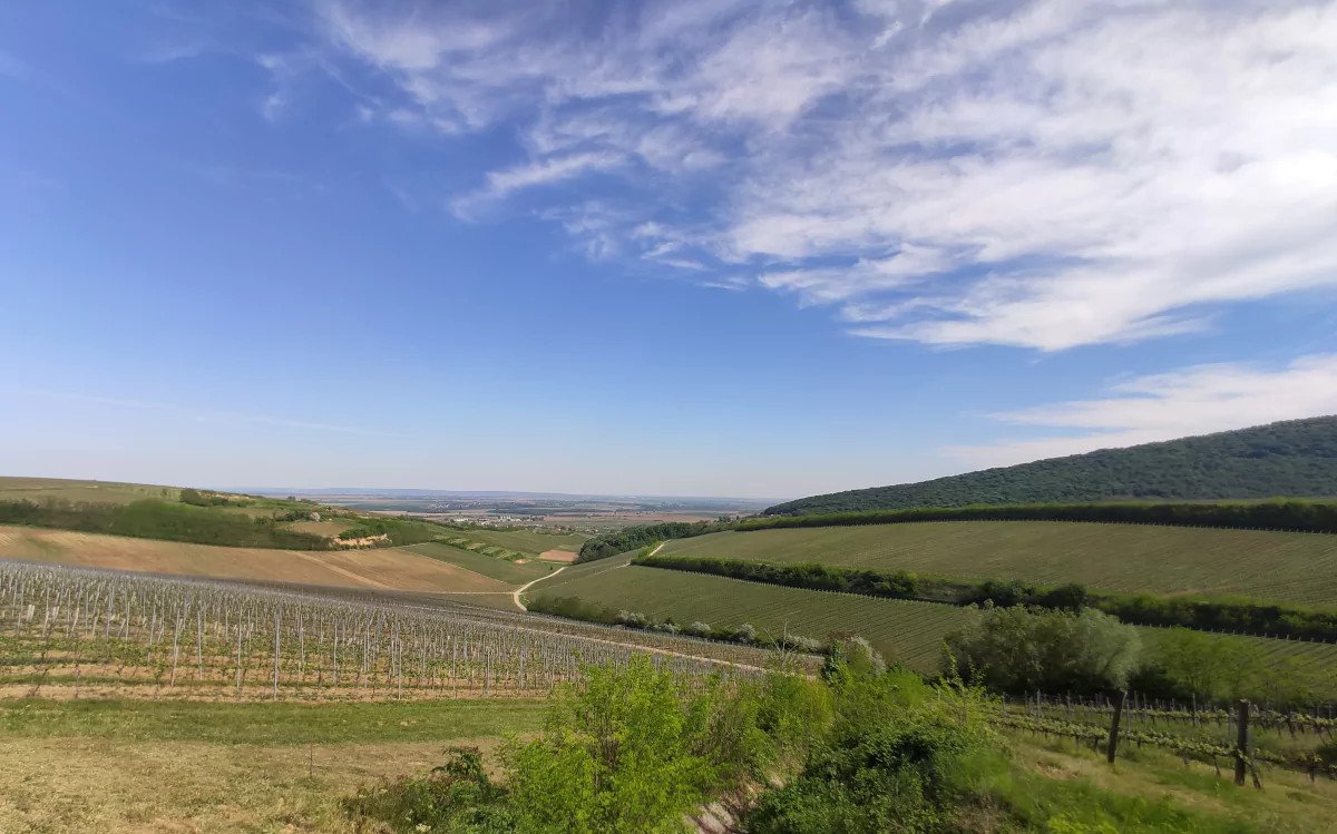 Hiking trails in the Villány wine region